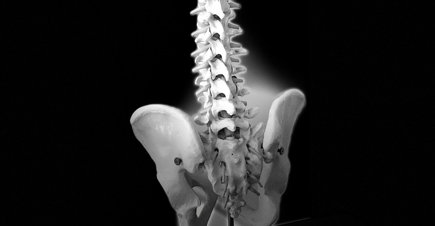 髗骶骨與盤骨修復調理師課程