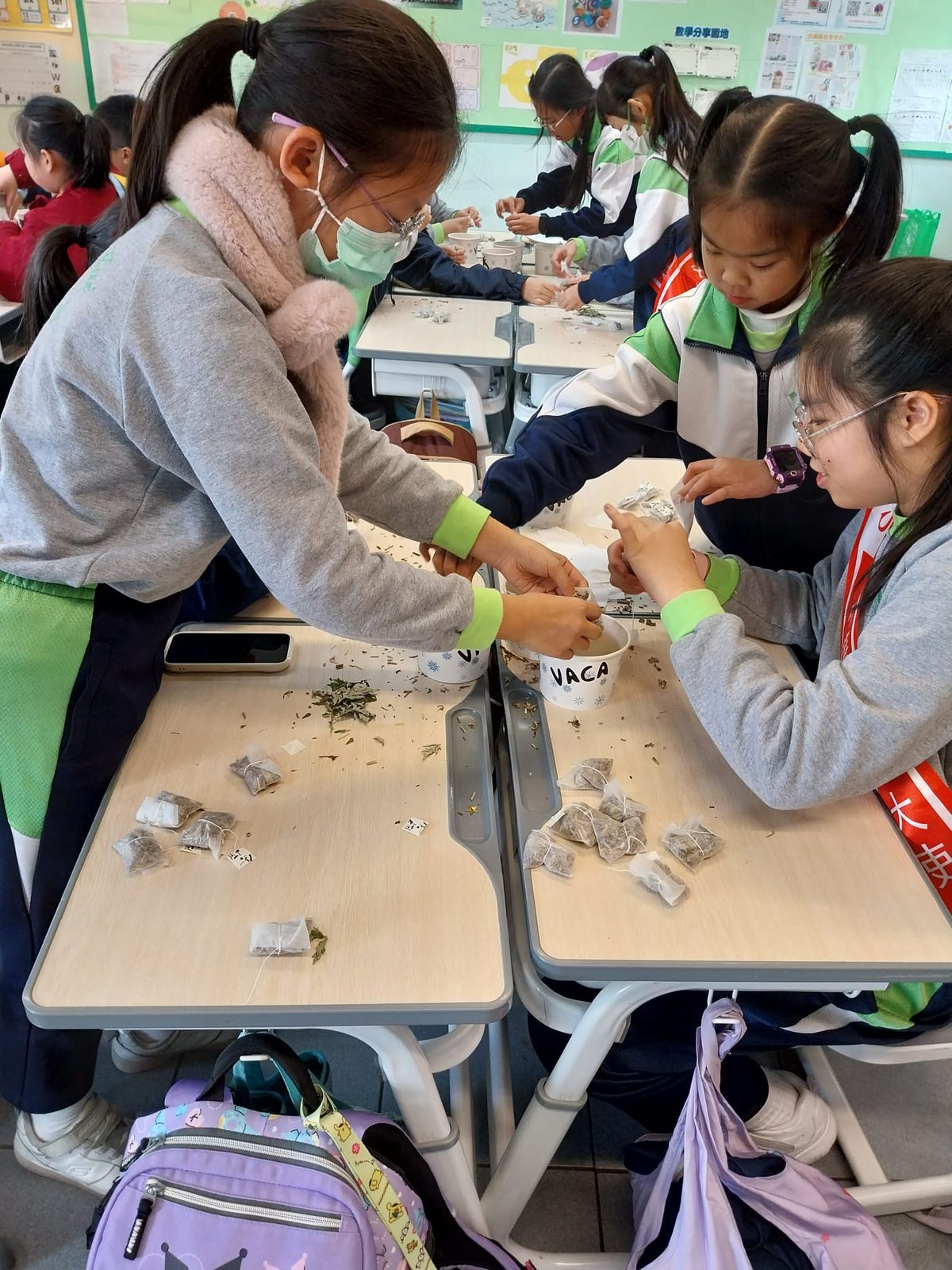 2024-25走入校園中草藥園教學 — 活動相片